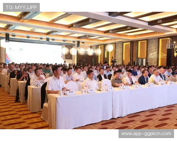 威龙国际：提供专业的企业咨询与战略规划服务，助推企业快速发展